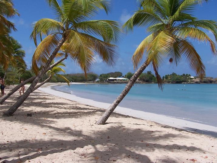 A beach in Martinique